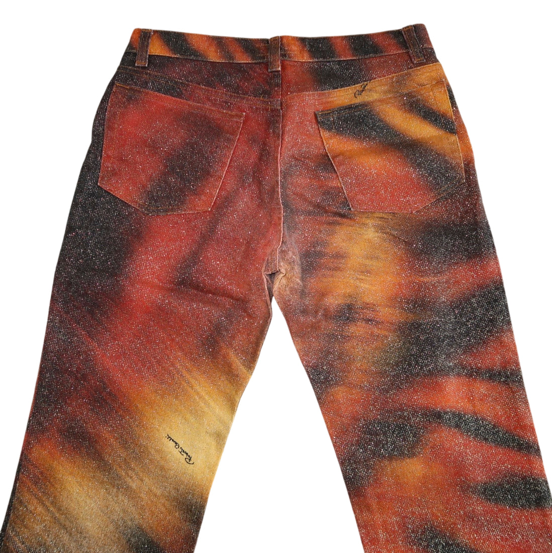 Roberto Cavalli Tiger Print Pants