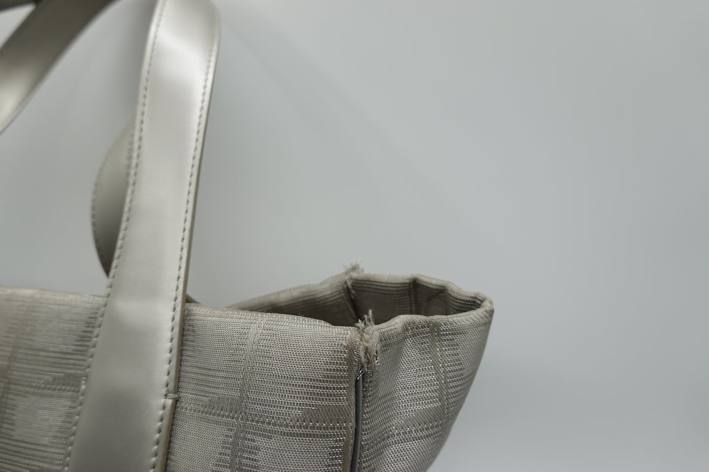 Chanel Travel Tote Bag