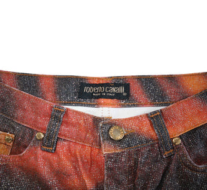 Roberto Cavalli Tiger Print Pants