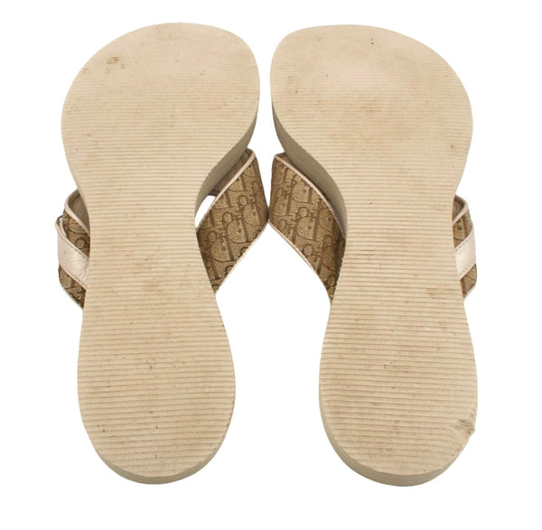 Christian Dior Spring Summer 2005 Trotter Flip-Flop Sandals