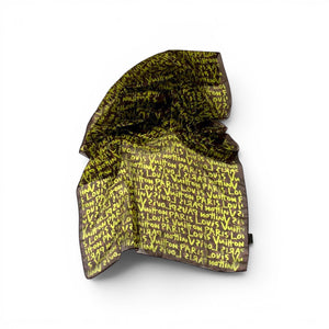 Louis Vuitton Stephen Sprouts scarf