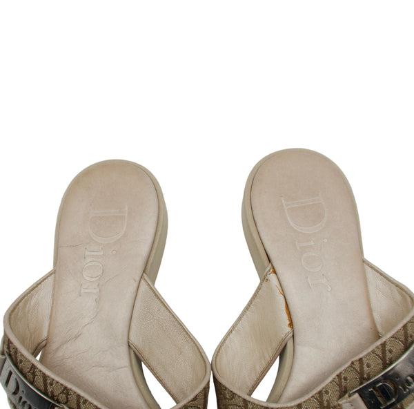 Christian Dior Spring Summer 2005 Trotter Flip-Flop Sandals