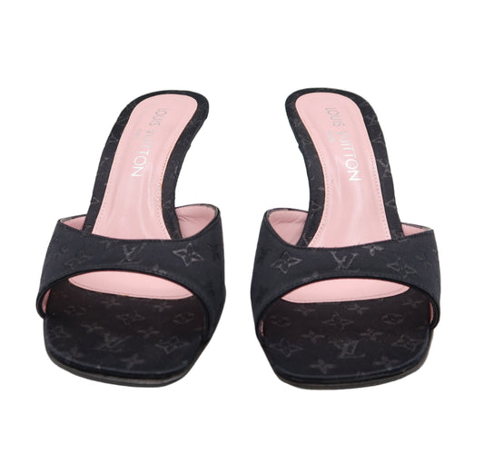 Louis Vuitton Heels