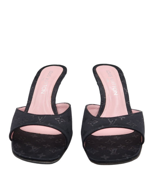 Louis Vuitton Heels