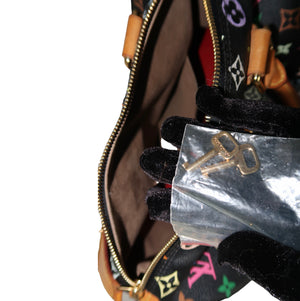 Louis Vuitton Speedy 30 Bag
